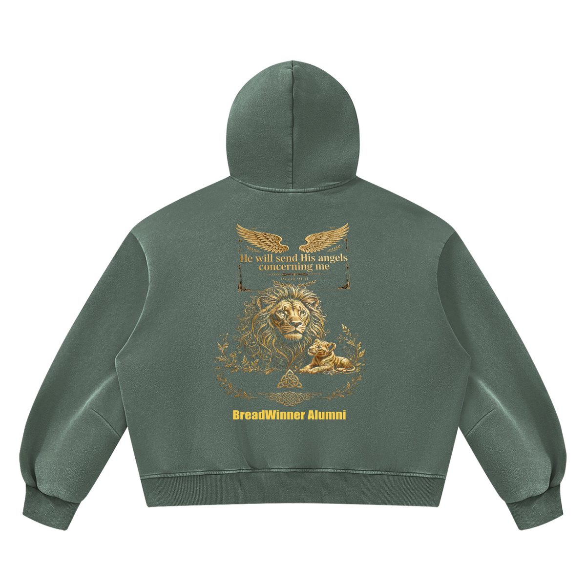 Bread Winner Alumni Unisex Vintage Wash Boxy Fleece Hoodie