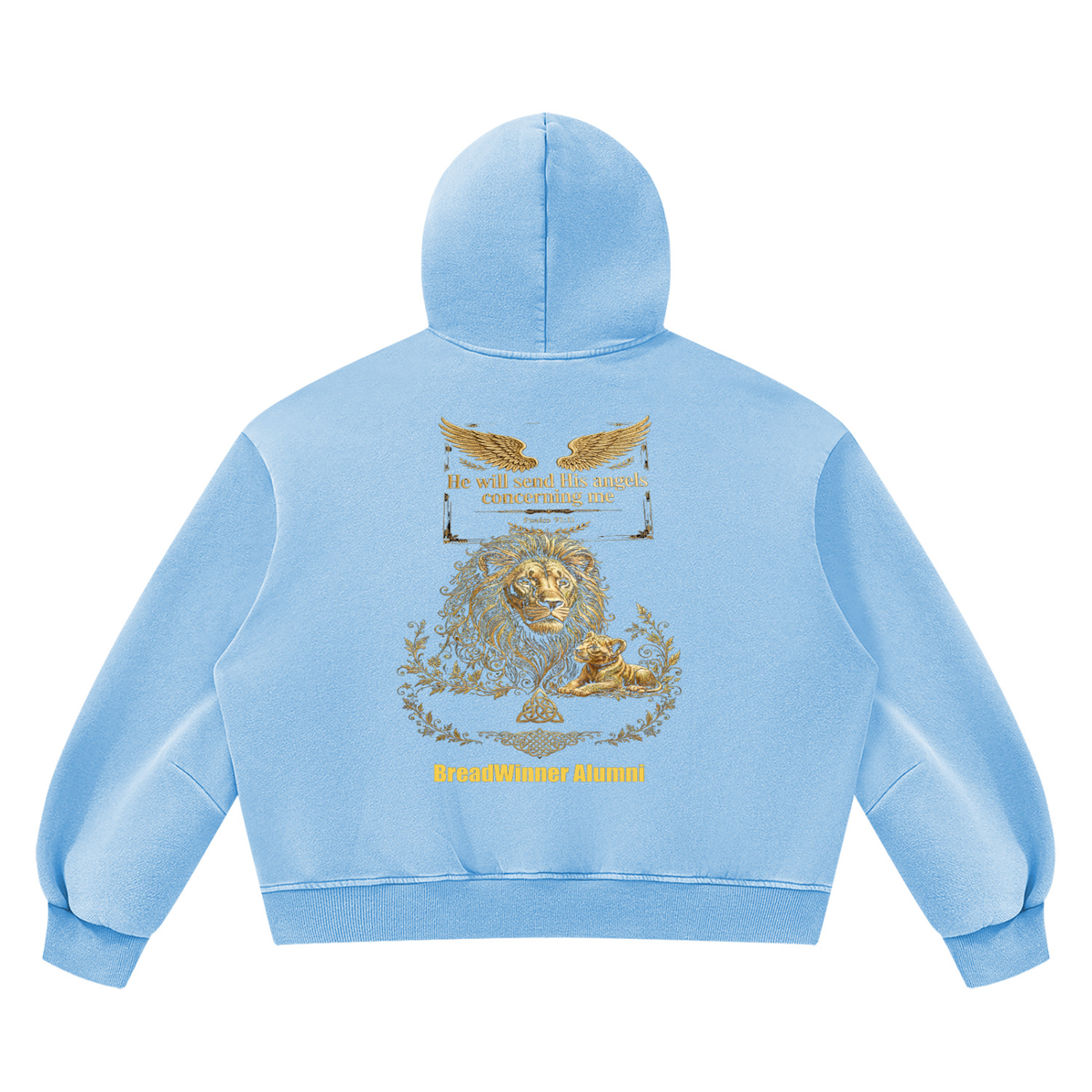 Bread Winner Alumni Unisex Vintage Wash Boxy Fleece Hoodie