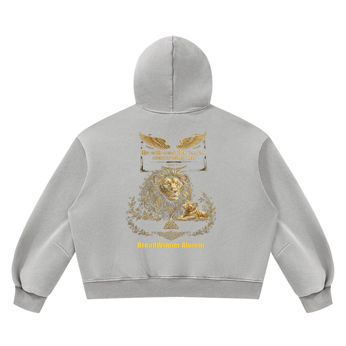 Bread Winner Alumni Unisex Vintage Wash Boxy Fleece Hoodie