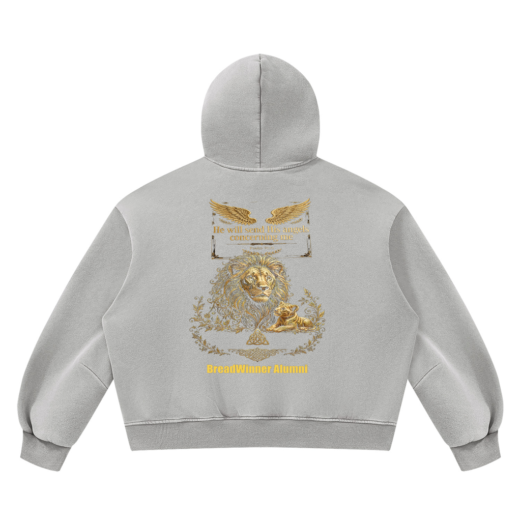 Bread Winner Alumni Unisex Vintage Wash Boxy Fleece Hoodie