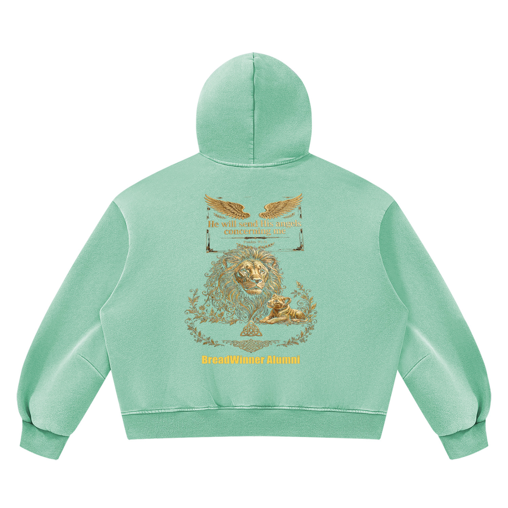Bread Winner Alumni Unisex Vintage Wash Boxy Fleece Hoodie