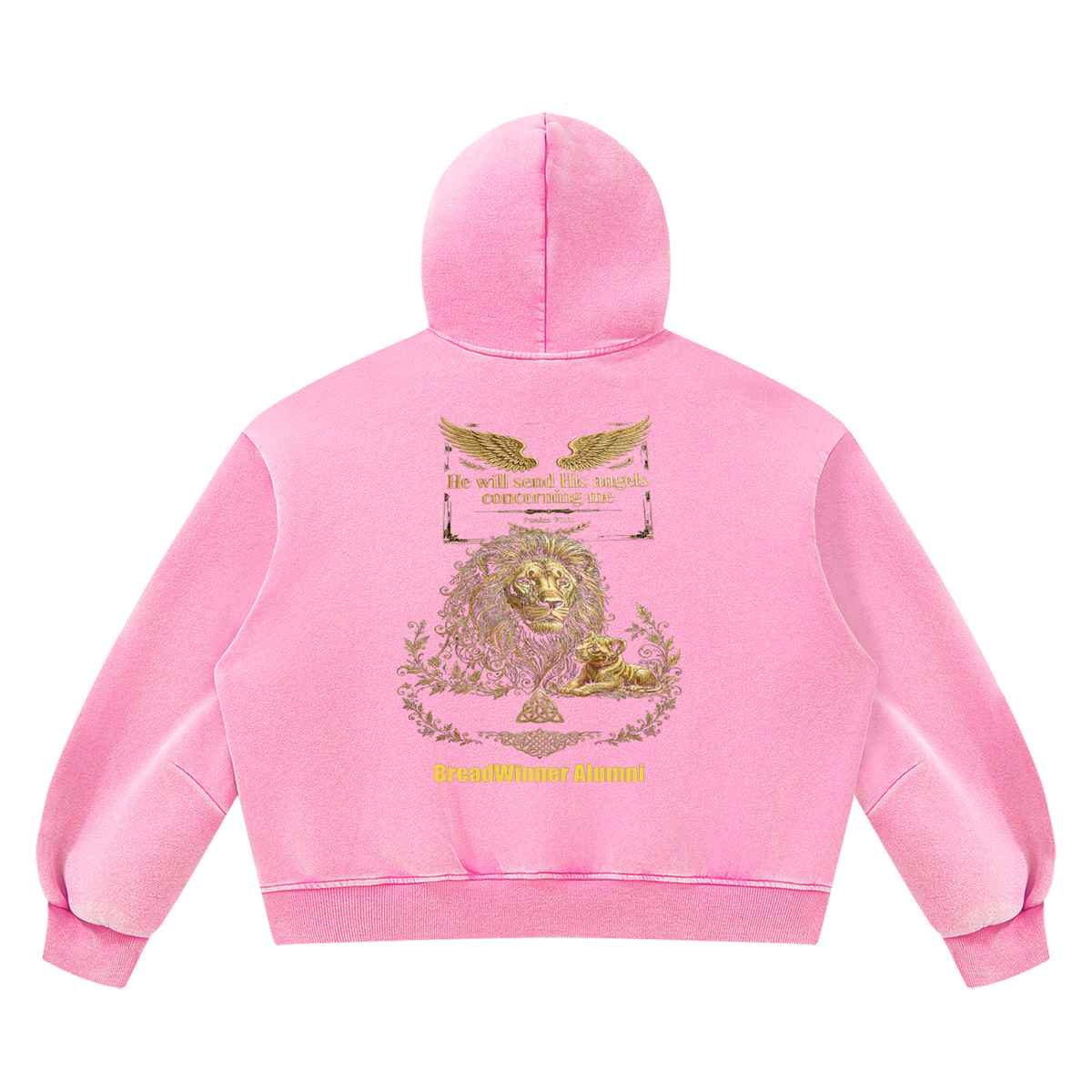Bread Winner Alumni Unisex Vintage Wash Boxy Fleece Hoodie