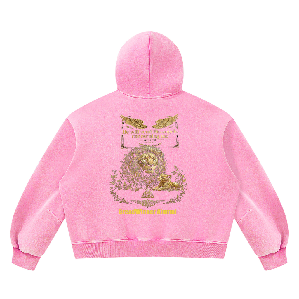 Bread Winner Alumni Unisex Vintage Wash Boxy Fleece Hoodie
