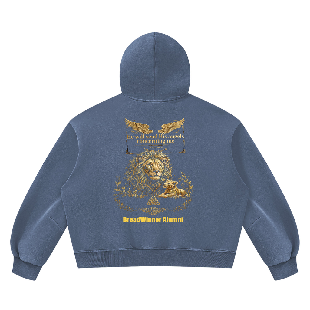 Bread Winner Alumni Unisex Vintage Wash Boxy Fleece Hoodie