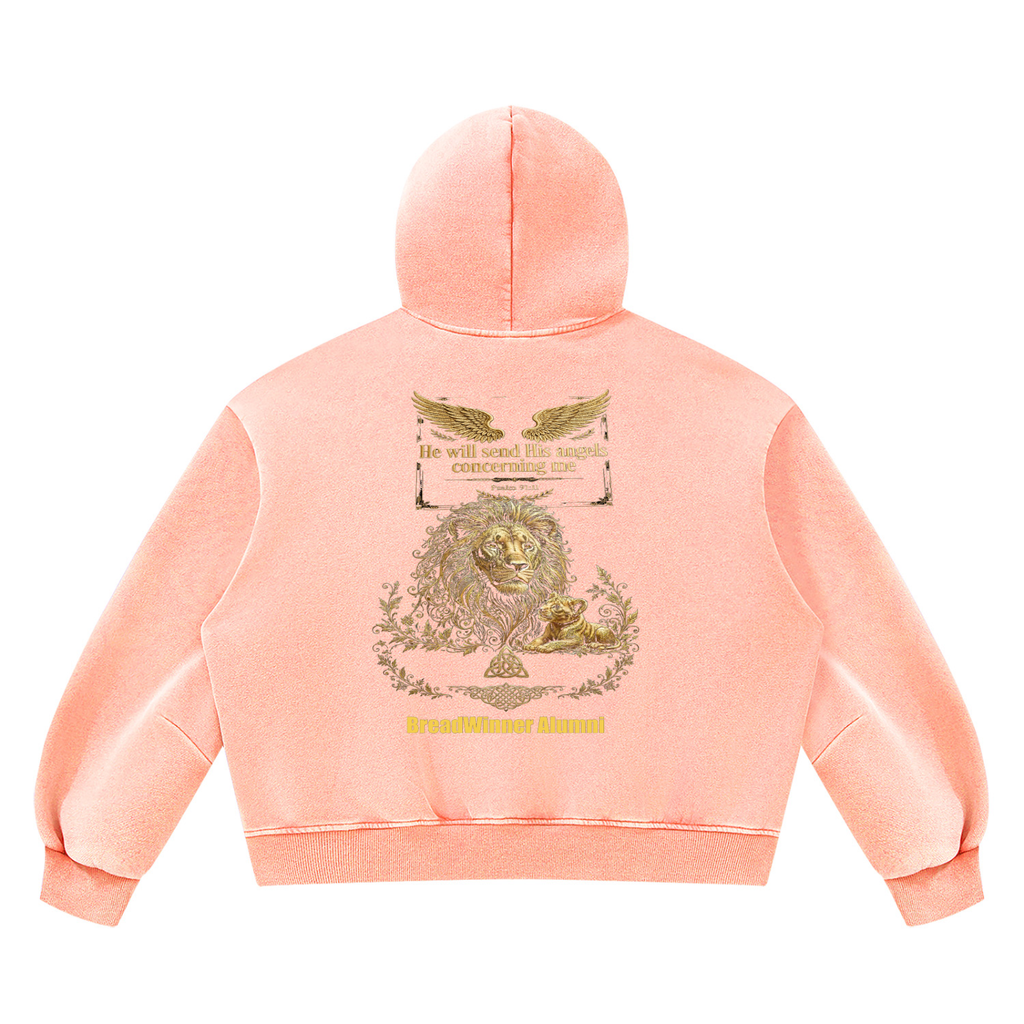 Bread Winner Alumni Unisex Vintage Wash Boxy Fleece Hoodie