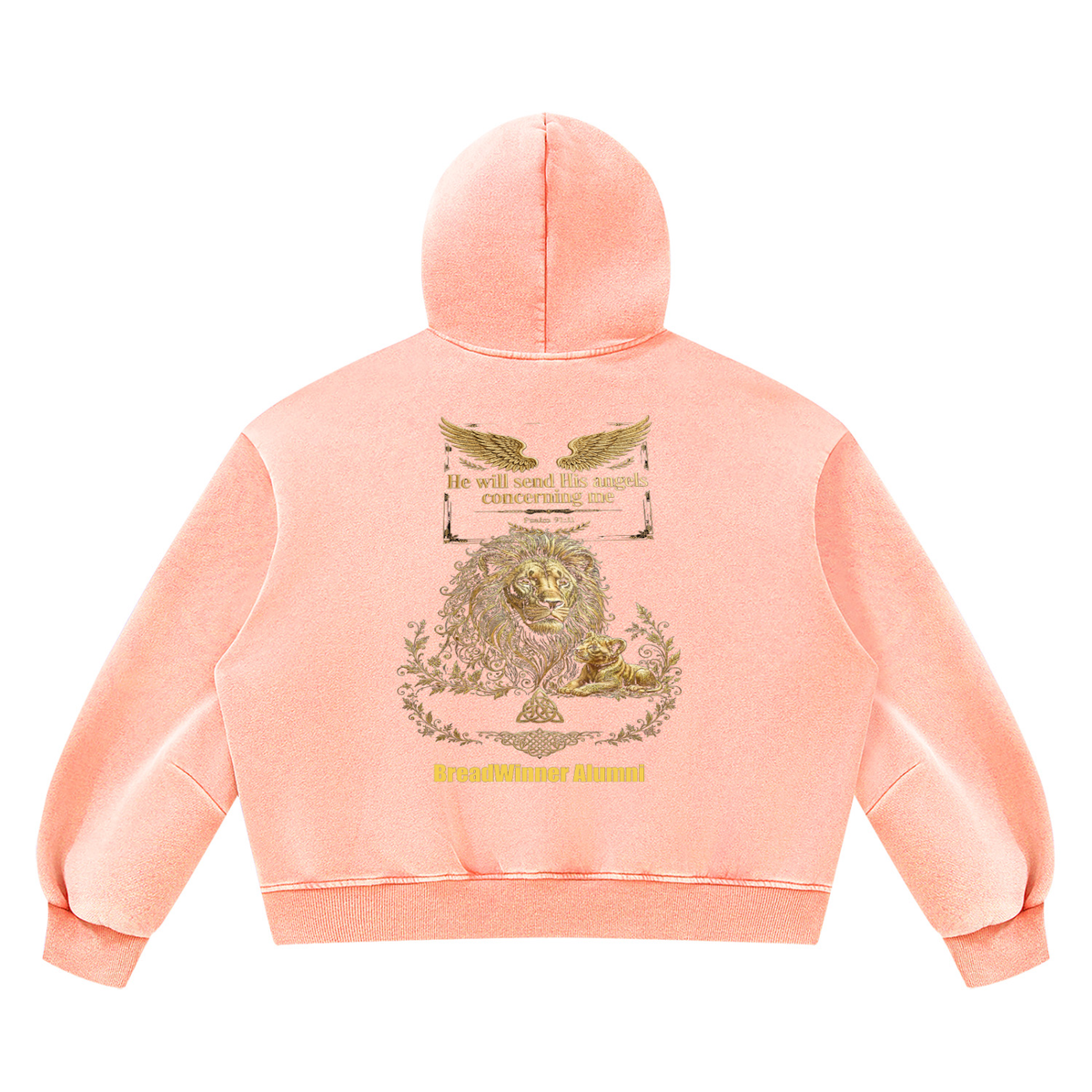 Bread Winner Alumni Unisex Vintage Wash Boxy Fleece Hoodie