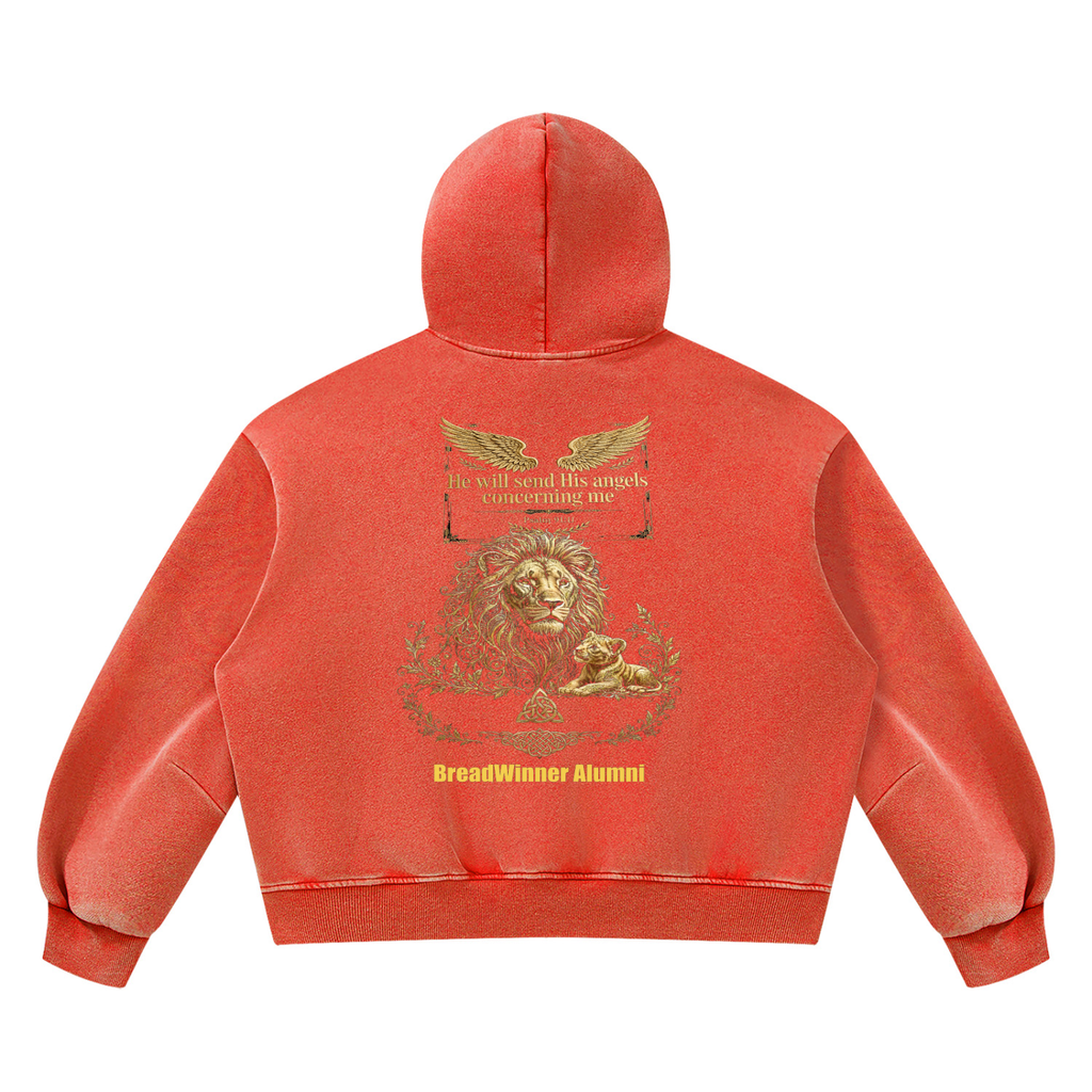 Bread Winner Alumni Unisex Vintage Wash Boxy Fleece Hoodie