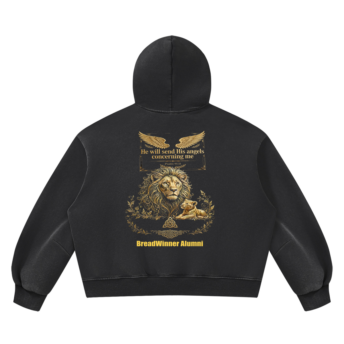 Bread Winner Alumni Unisex Vintage Wash Boxy Fleece Hoodie