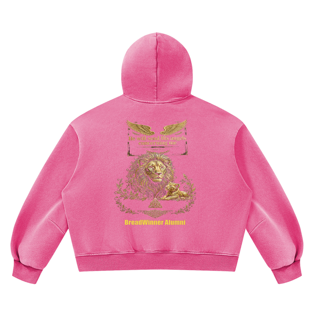 Bread Winner Alumni Unisex Vintage Wash Boxy Fleece Hoodie