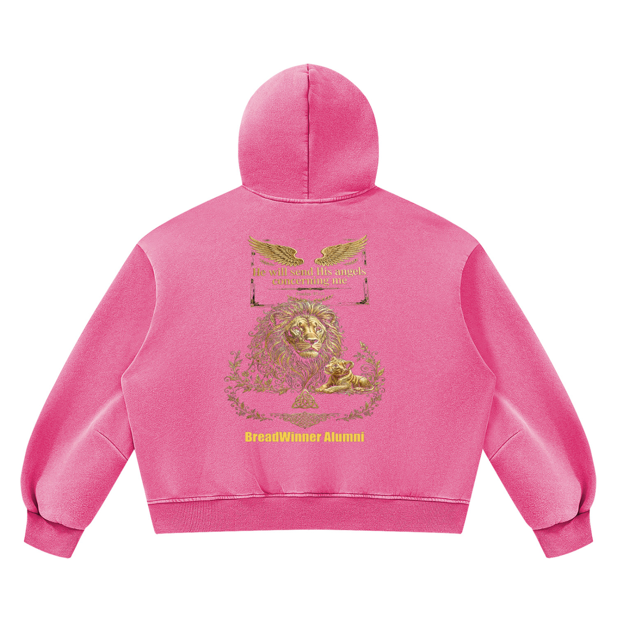 Bread Winner Alumni Unisex Vintage Wash Boxy Fleece Hoodie