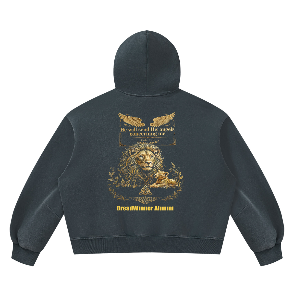 Bread Winner Alumni Unisex Vintage Wash Boxy Fleece Hoodie