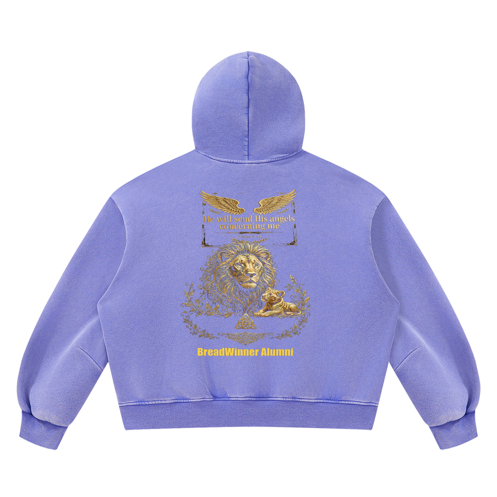 Bread Winner Alumni Unisex Vintage Wash Boxy Fleece Hoodie