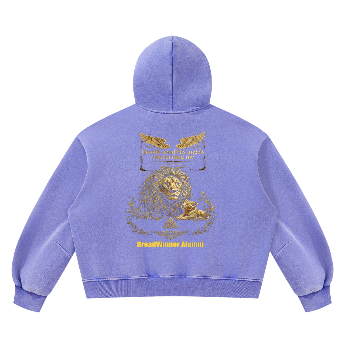 Bread Winner Alumni Unisex Vintage Wash Boxy Fleece Hoodie